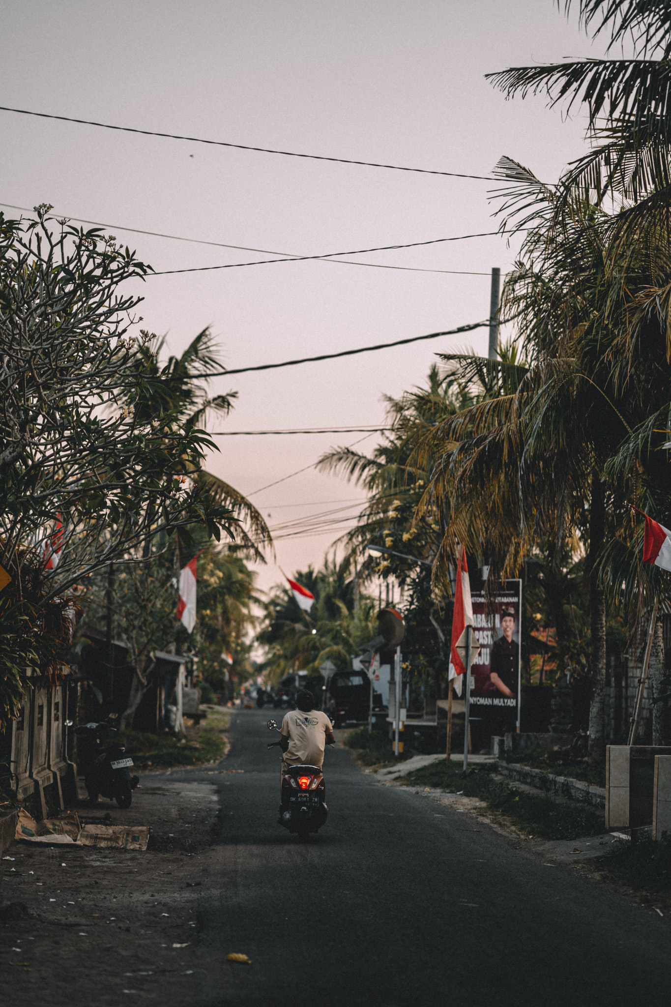 A rider on a palm-lined village road