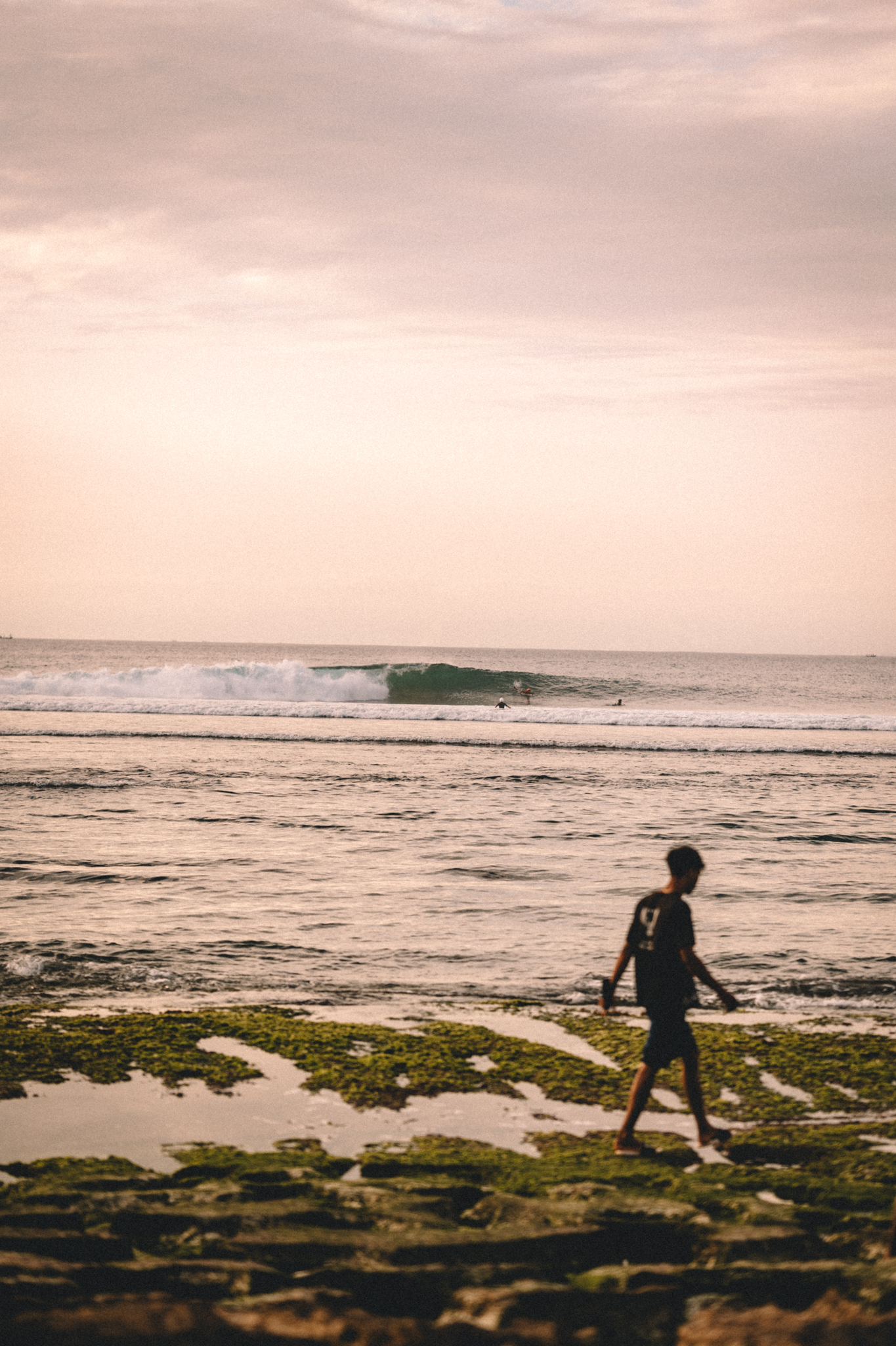 A person walking by the shore under a pink sky