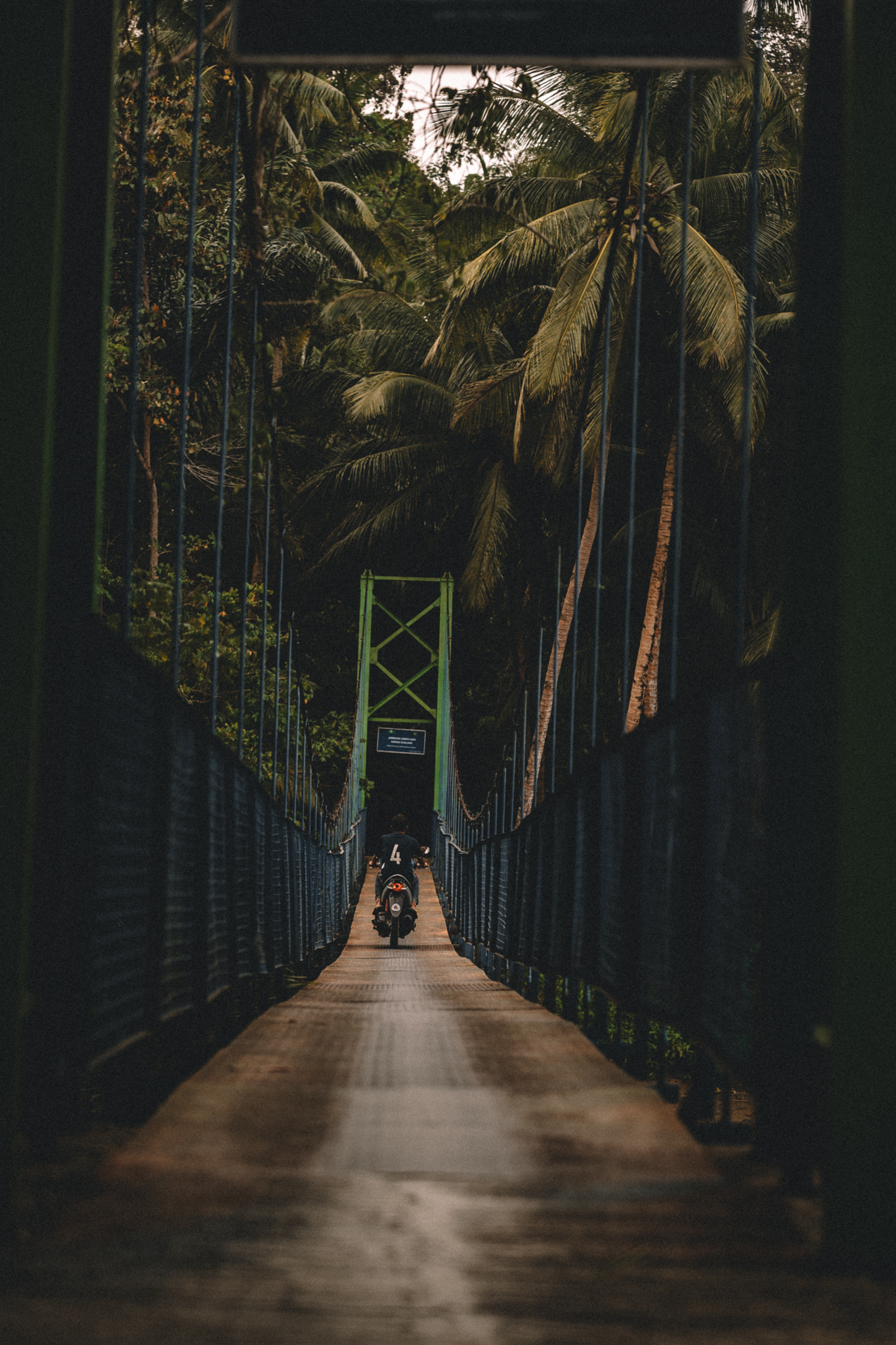 A narrow suspension bridge leading into tropical forest