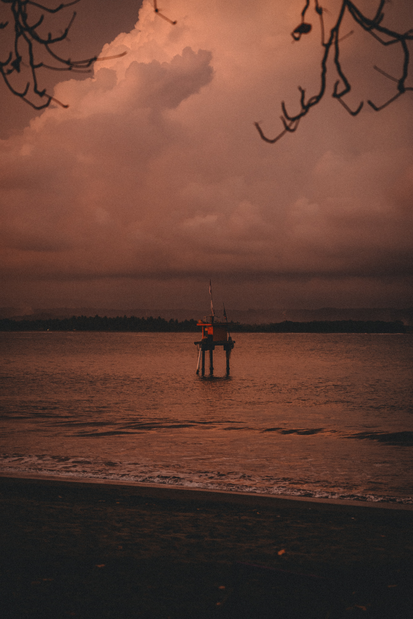 Children playing beneath a tree beside the sea at dusk
