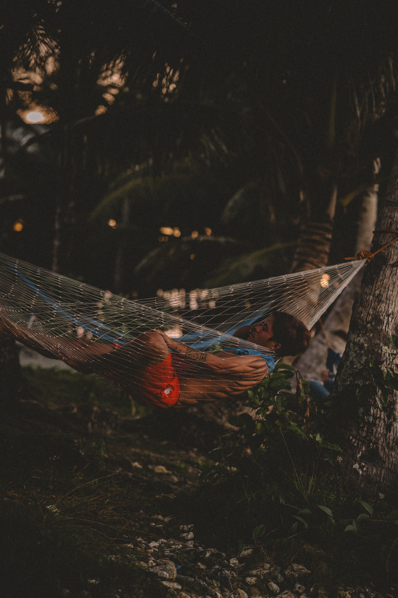 A hammock suspended beneath trees at dusk