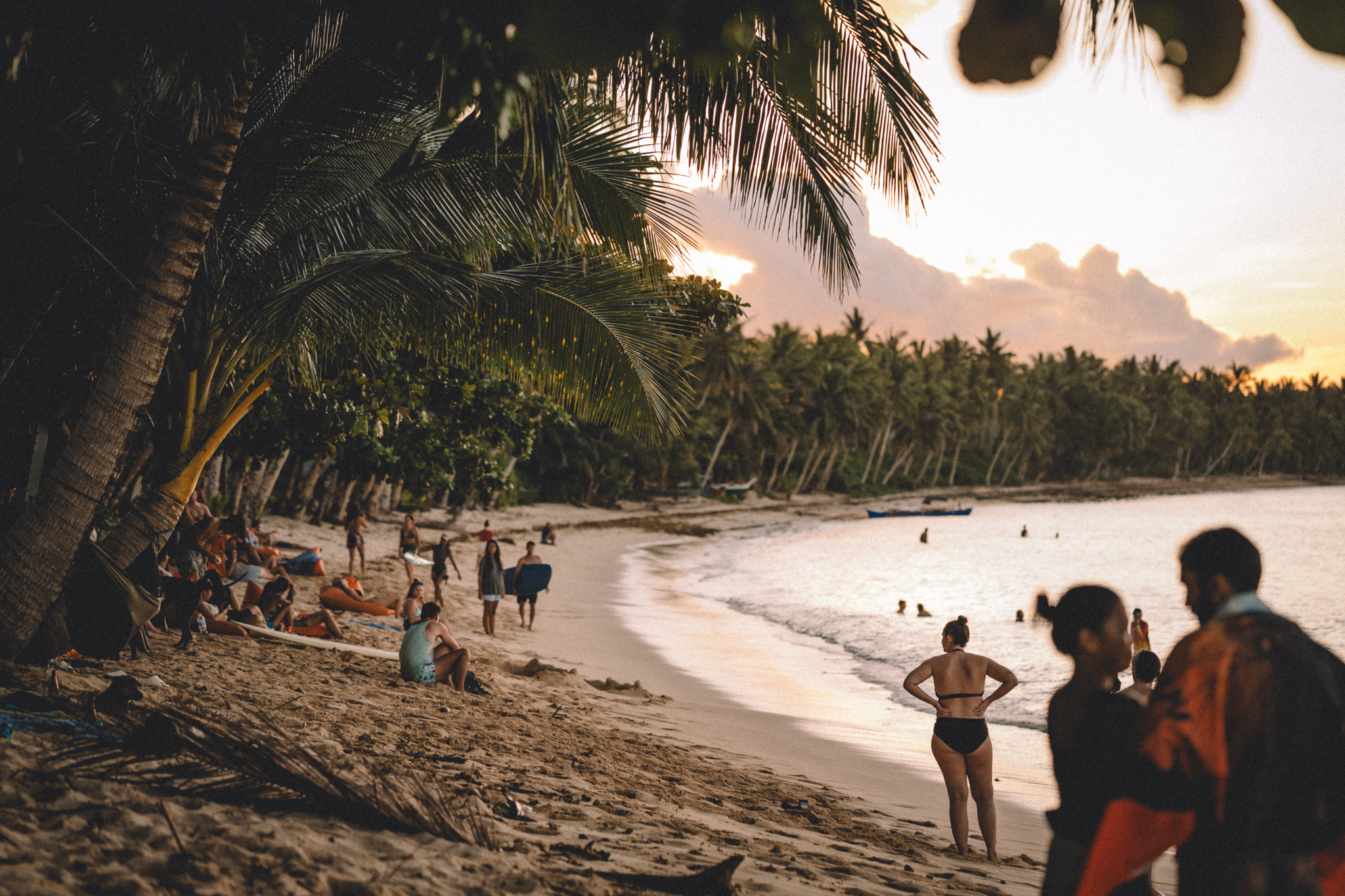 People on a palm-lined beach at sunset