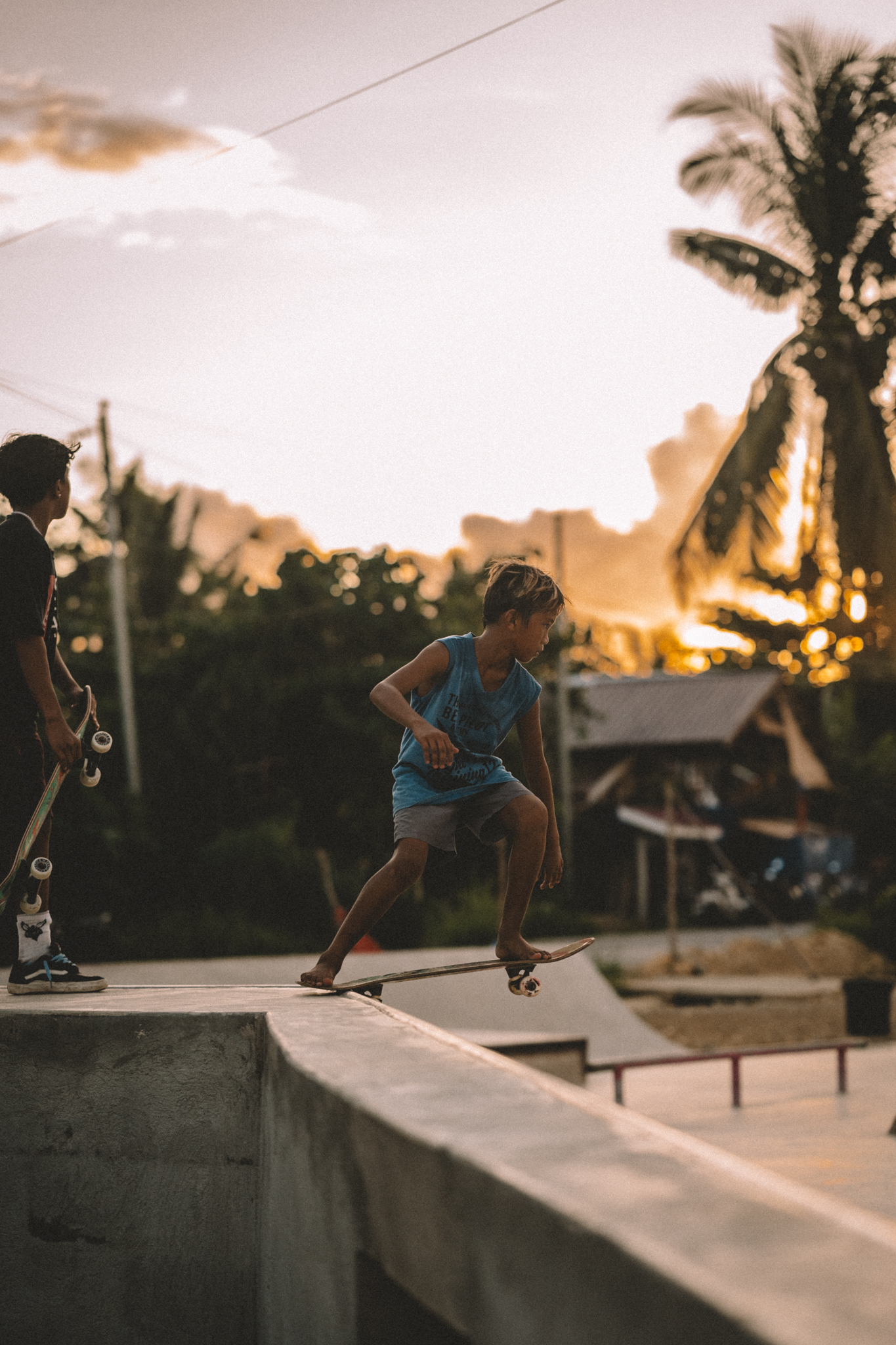 A skater beside a ramp under the palms