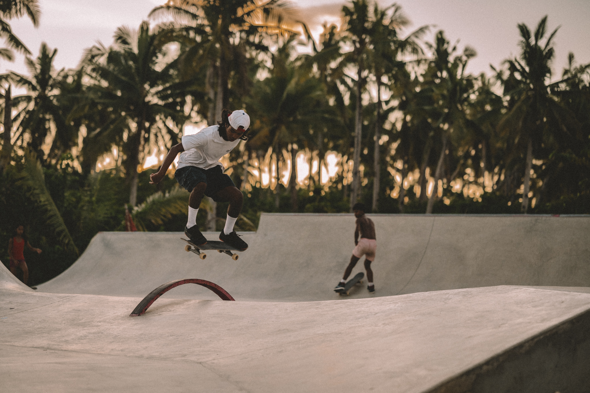 Skateboarders in a palm-lined skate park
