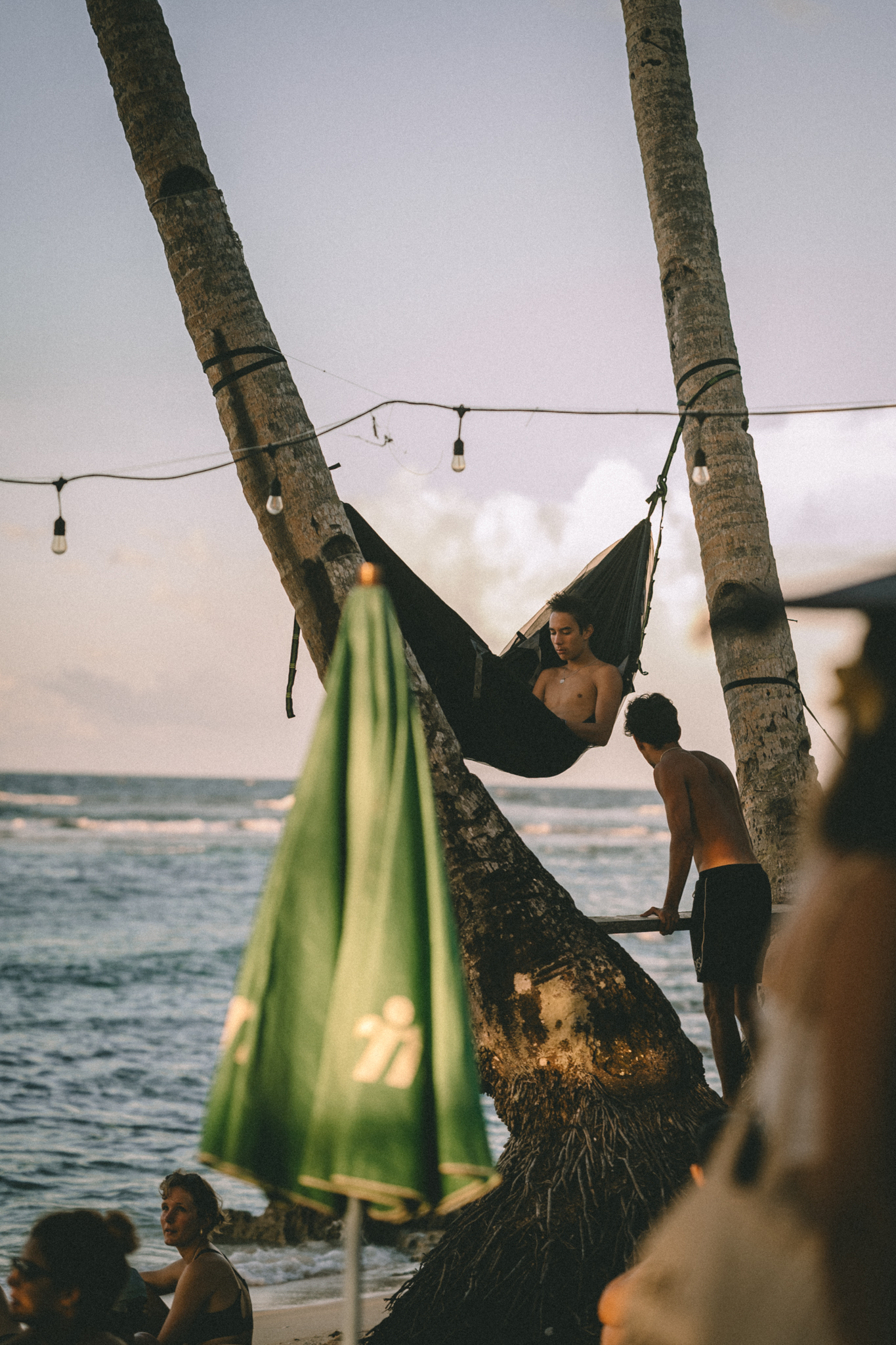 A hammock between palms at the edge of the sea