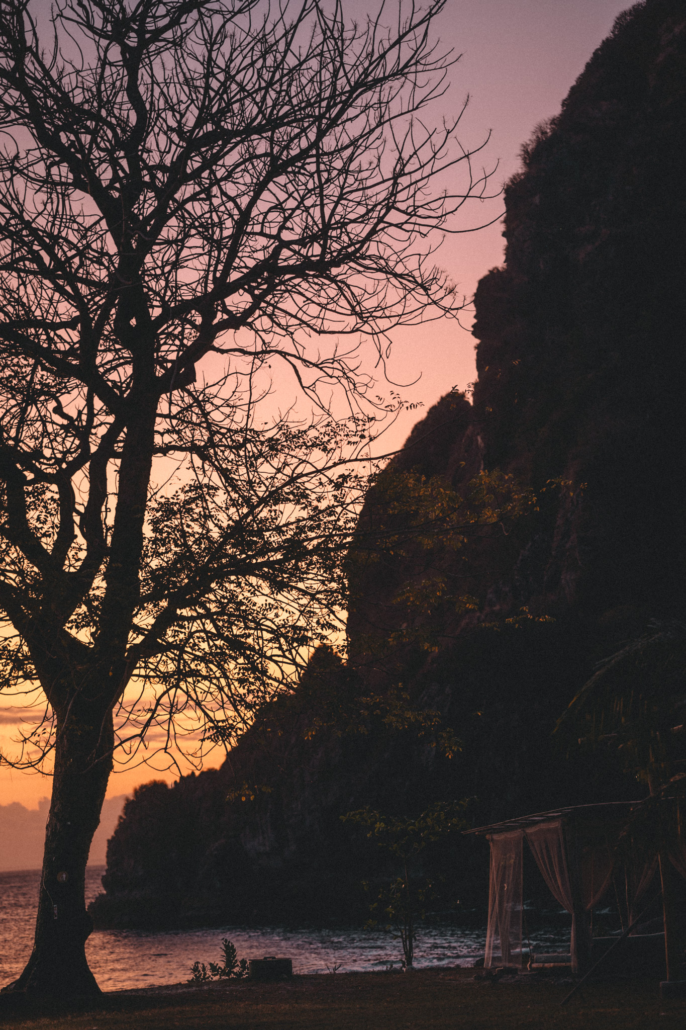 A tree silhouetted against a pink evening sky