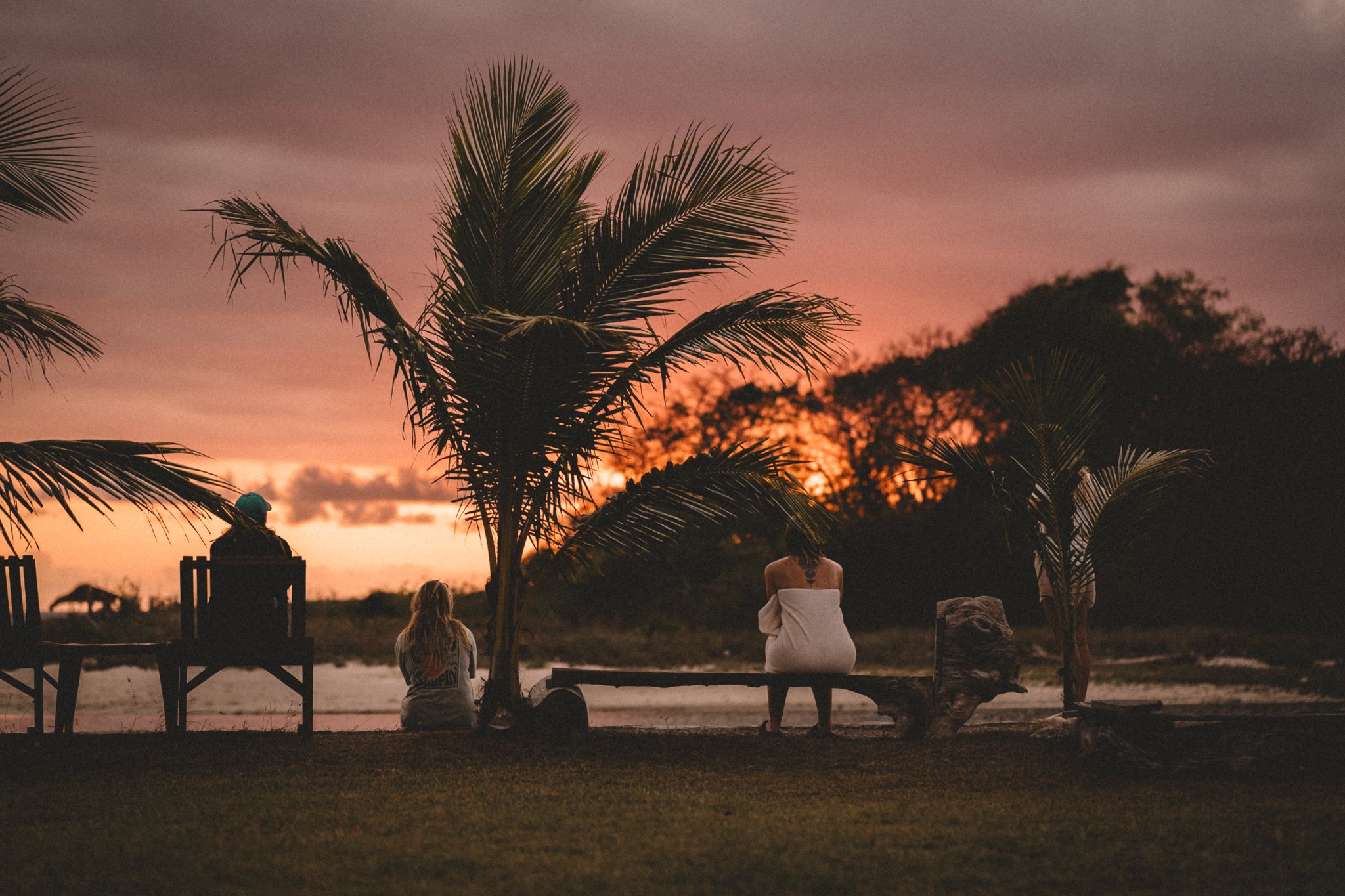 Silhouettes and palms at sunset