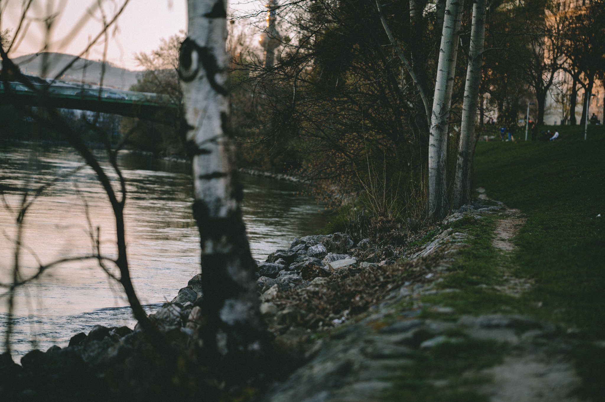 Ein schmaler Weg zwischen Bäumen am Wasser