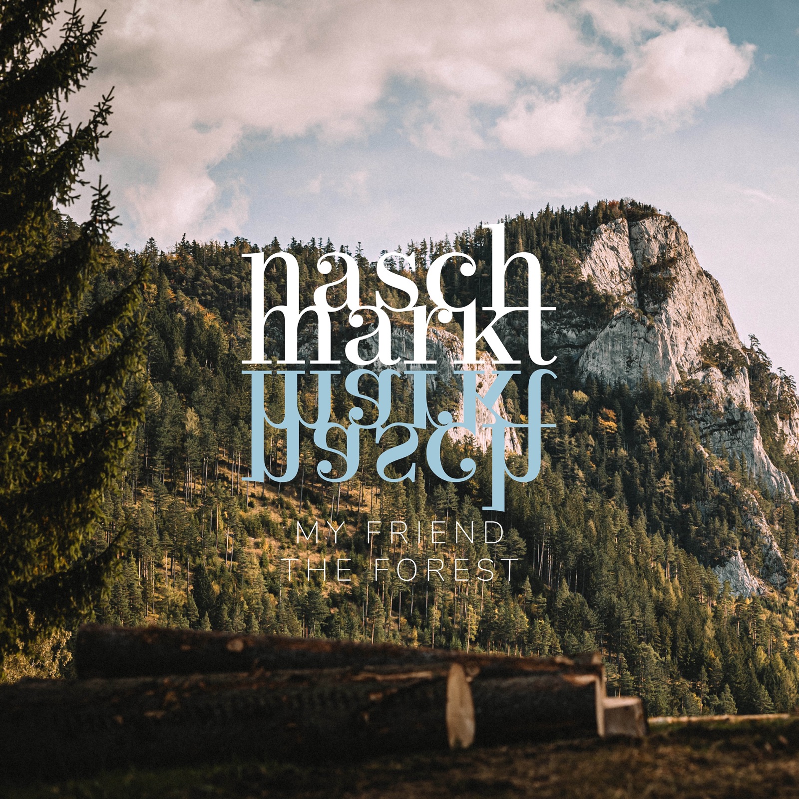 My Friend the Forest — cover photography and artwork by Harald Kuhm