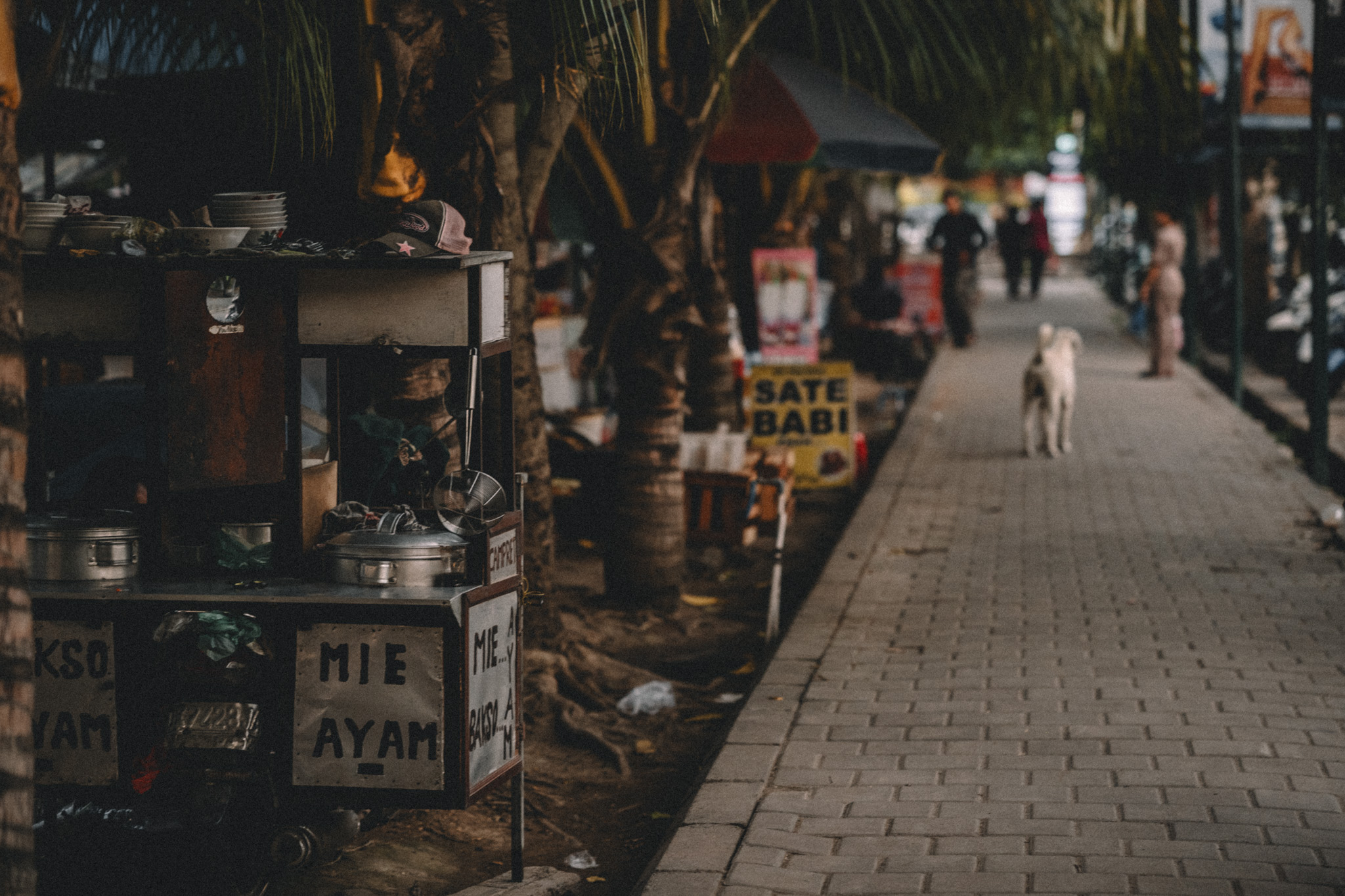 A food cart and a dog along a palm-lined walkway in Bali